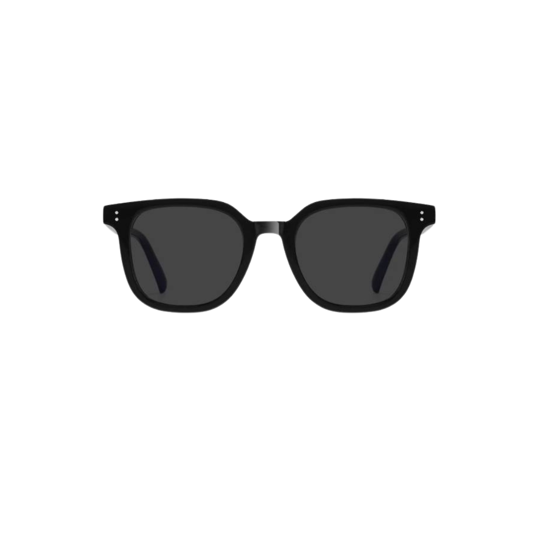 Blackout Tint Sunglasses | Hikari